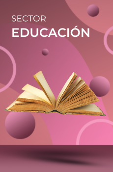 Sector educación