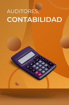 Auditores contabilidad